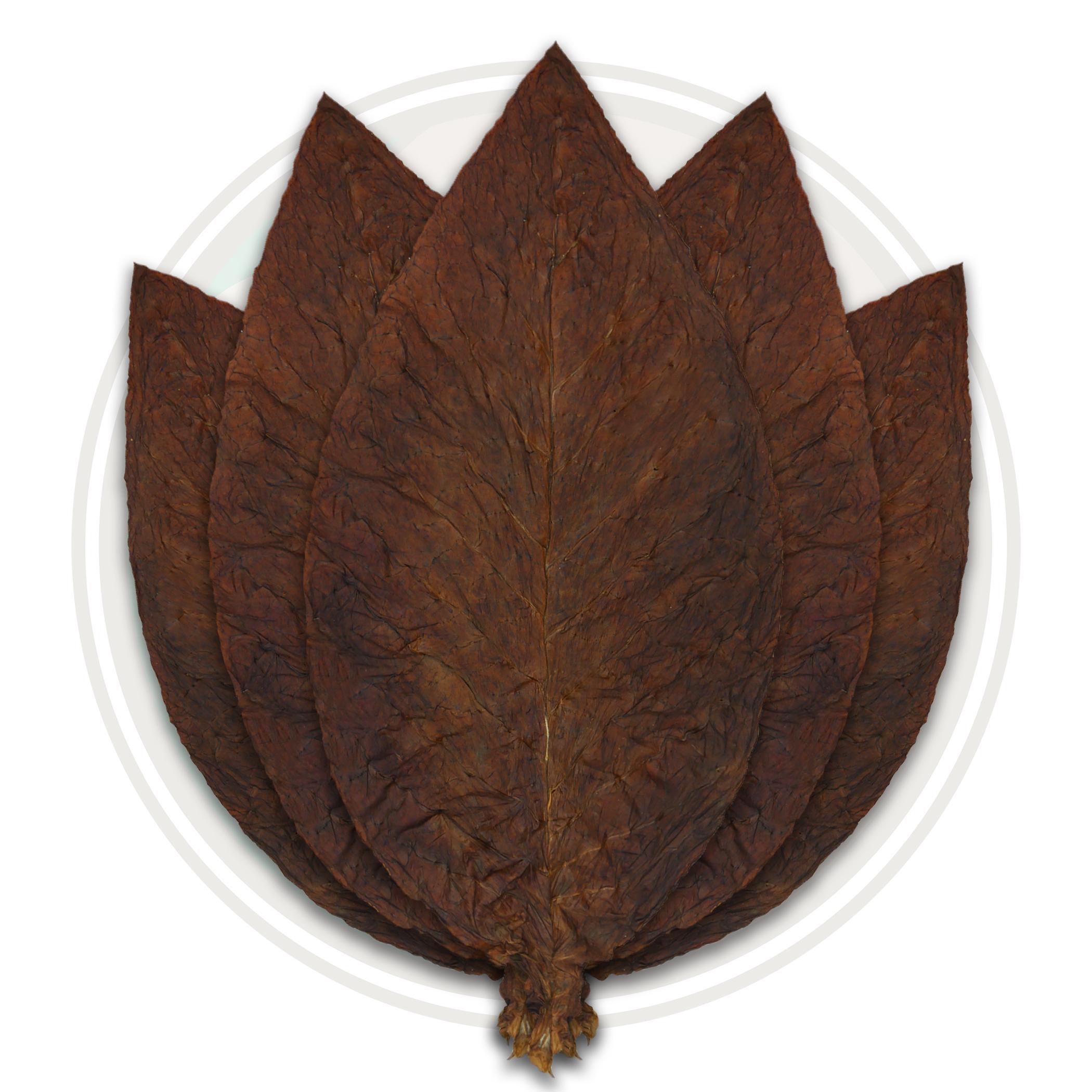 Dark Air Cured Dark Air Cured